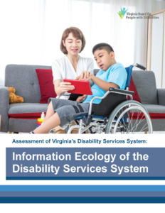 Portada de la Ecología de la Información de la Evaluación del Sistema de Servicios para Discapacitados, que muestra a una mujer ayudando a un niño con necesidades especiales en una silla de ruedas usando una tableta.