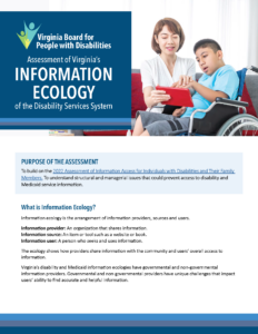 Vista previa de la infografía de Ecología de la Información