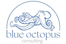 Logo de Blue Octopus Consulting. Es un logotipo estilizado de un pulpo delineado en azul bajo una línea azul curva con texto, "blue octopus consulting" 
